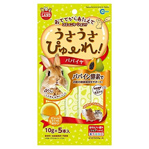 うさぎと仲よくなりたいときにはピューレがうってつけ