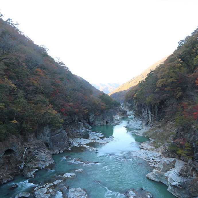 東京の奥座敷。「鬼怒川・川治エリア」で渓谷のアクティビティを楽しもう