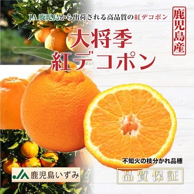 ほかにはない鮮やかな見た目なら鹿児島産「大将季」がおすすめ