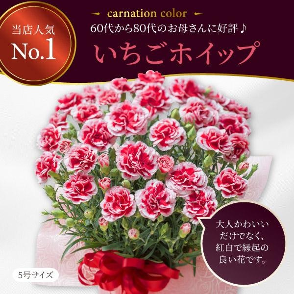 定番のプレゼントをしたい人・お花好きのお母さんには、フラワーギフトをチョイス