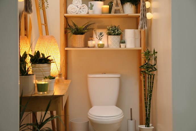 窓のないトイレや玄関には、耐陰性のある観葉植物がベター