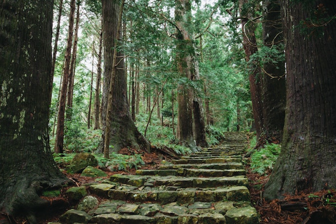 山深い緑に癒されたい人には熊野・有田・日高エリアがうってつけ
