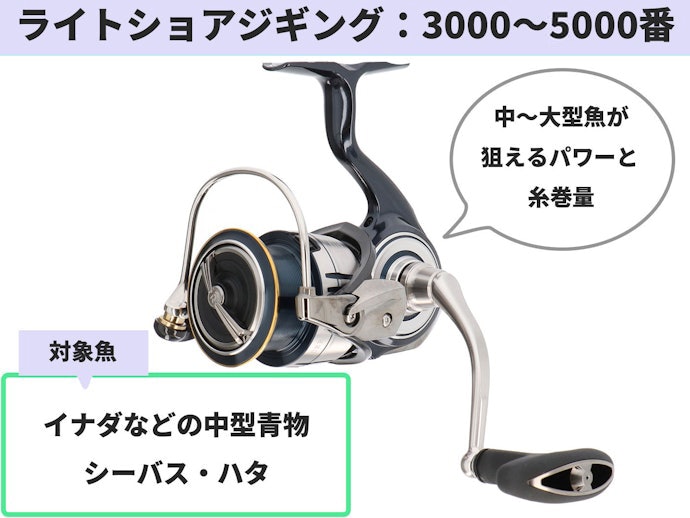 ライトショアジギングでは3000~5000番を選ぼう