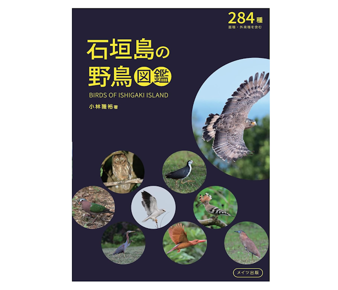知りたい野鳥があるなら特定の種類・地域に絞った図鑑に注目しよう