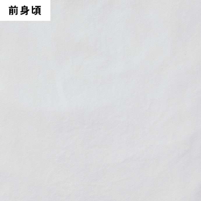 仕上がり重視の人に!細かい部分までパリッときれいにシワを伸ばせた
