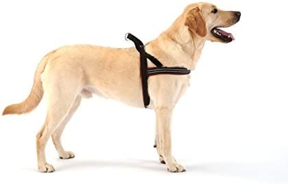 ショルダー型:耐久性が高く装着も簡単。やんちゃな愛犬の散歩用にもってこい