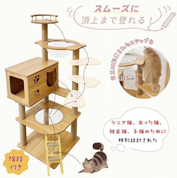 子猫・シニア猫がいるなら、登り降りのしやすさも確認しよう