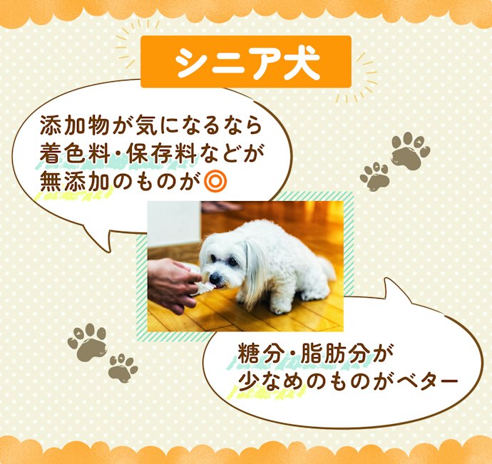 シニア犬は原材料・成分を要チェック