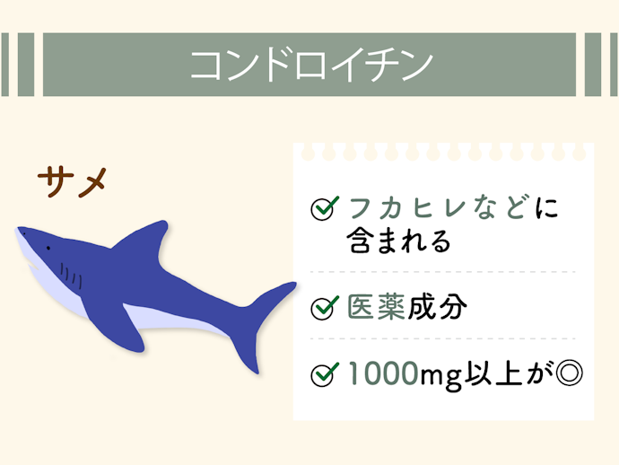 コンドロイチン:3類医薬品にも使用される軟骨の主成分