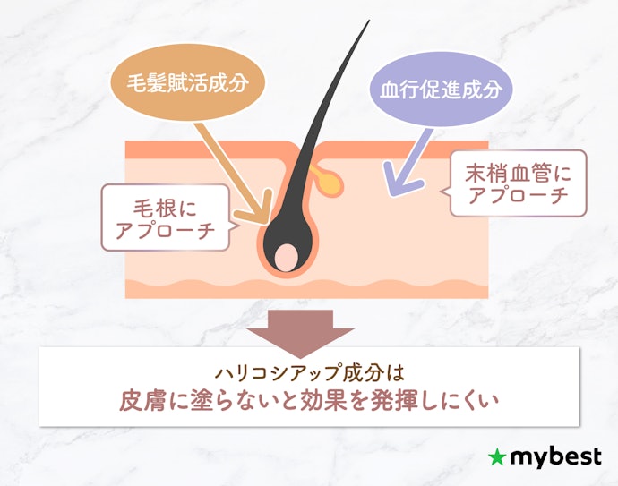 まつげのボリューム感をアップしたいなら、ハリコシアップ成分がおすすめ