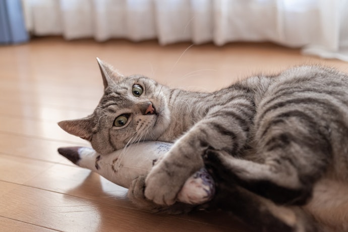 かわいいけりけりが見られる!ぬいぐるみは猫の蹴りたい欲発散にお役立ち