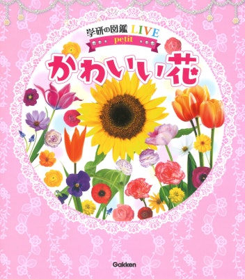 花を愛でる心を育みたいなら、絵本のような世界観のものがぴったり