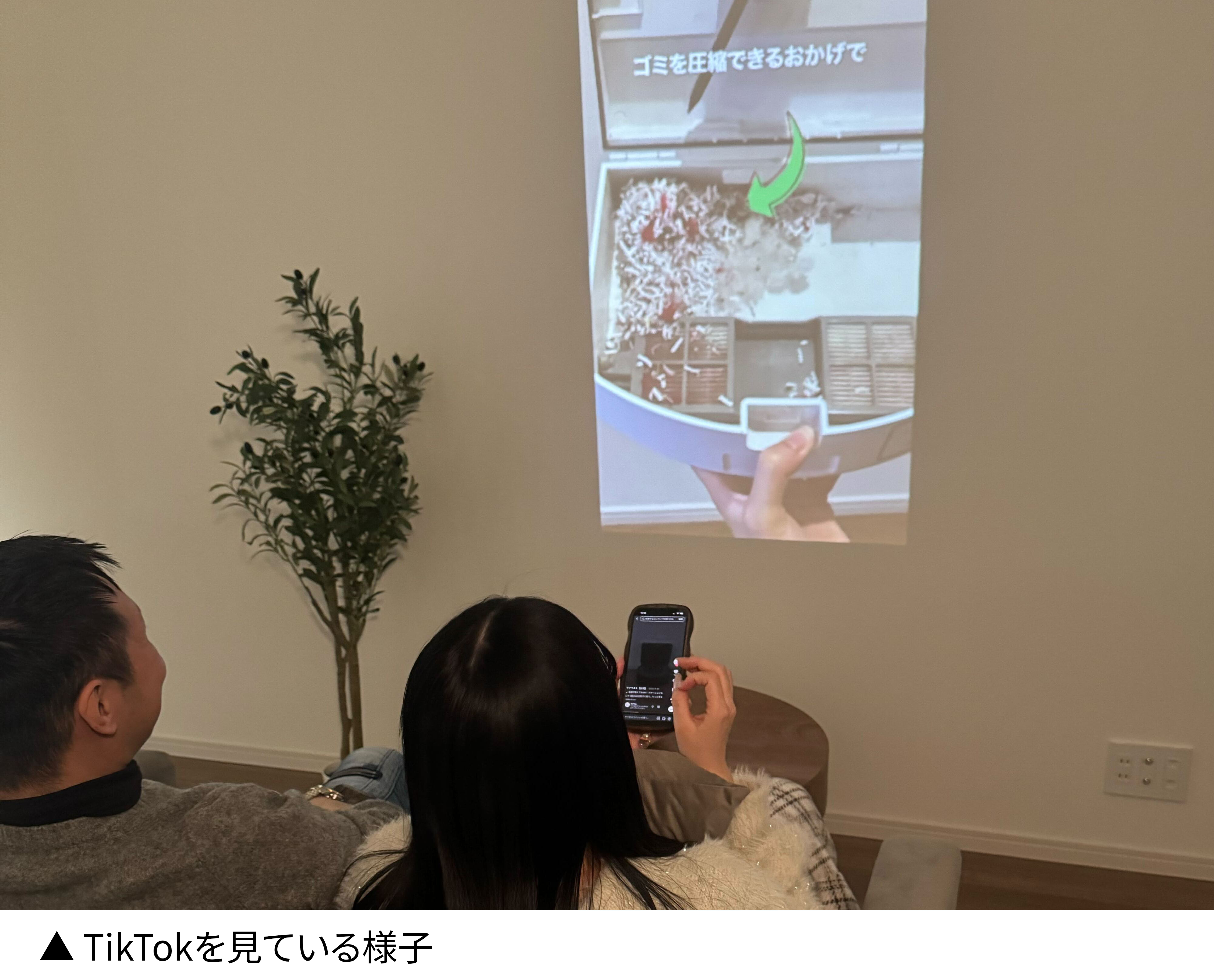 PicoPlay+なら縦動画も大画面に!?本当に推し活から映画鑑賞までできる