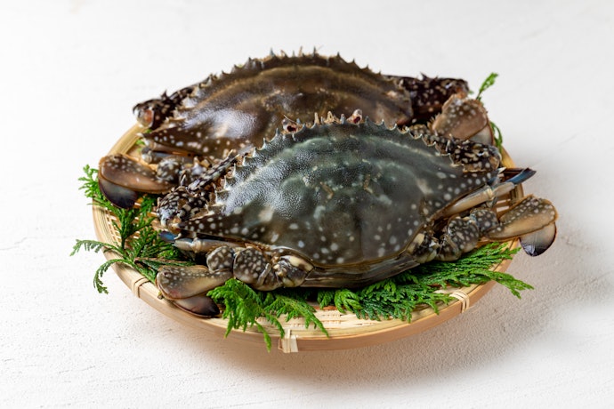 出汁の旨味を料理に活用したいなら、ワタリガニも候補に