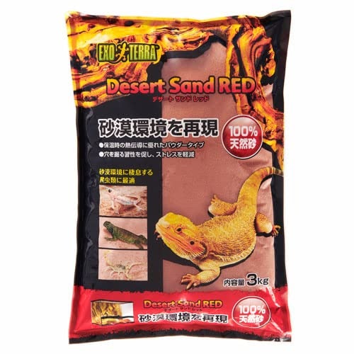 砂漠に生息している爬虫類には、乾燥タイプがおすすめ