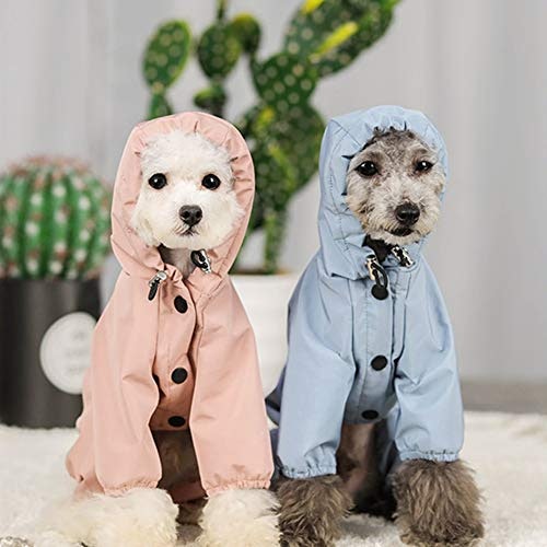 愛犬の好みに合わせてフードの有無をチェック