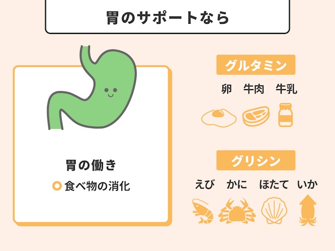胃の機能をサポート:グルタミン・グリシン