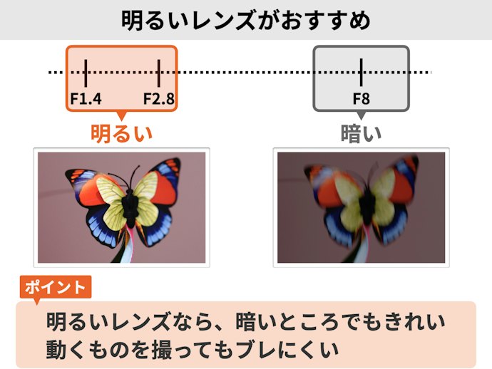 光を多く取り入れられる、明るいレンズを選ぼう