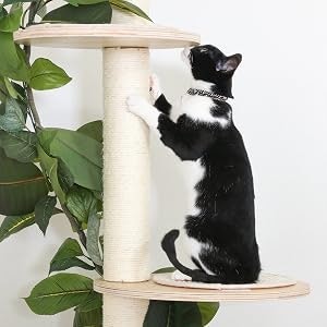 爪とぎ素材は猫の好みで。交換式だと安心