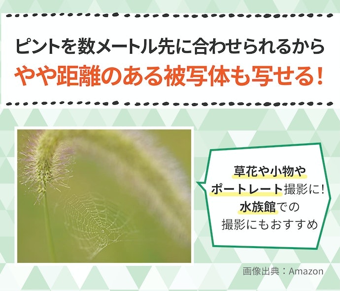 中望遠マクロ(70~134mm):草花・昆虫の接写やポートレート撮影にうってつけ