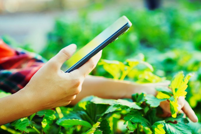 数値の把握や管理が面倒な人には「スマホ連動機能」つきが便利