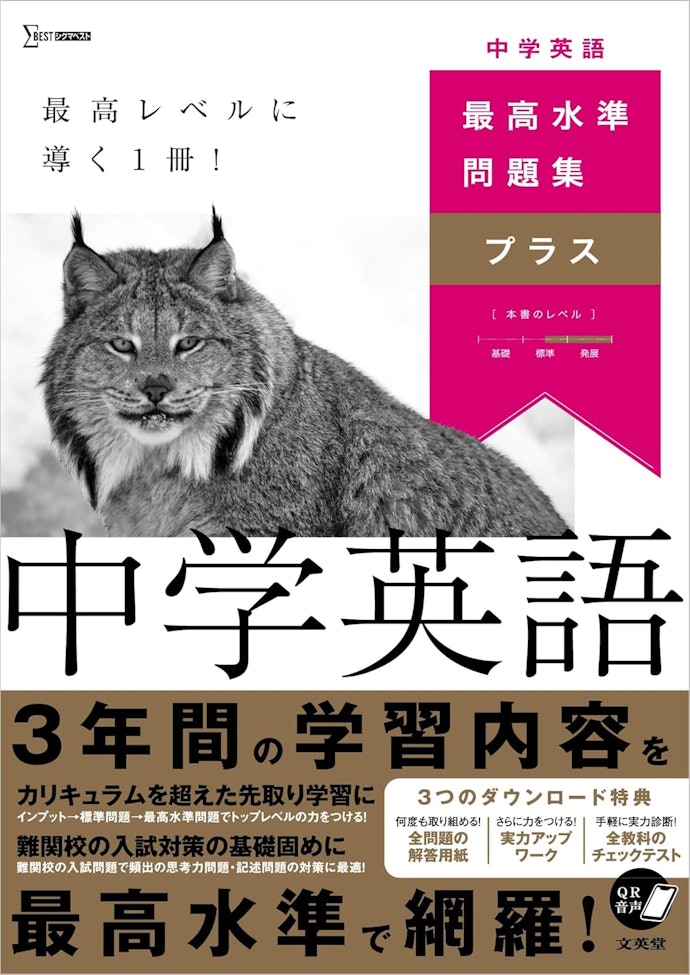レベルアップしたいなら、解説の丁寧な応用問題入りのドリルをチョイス