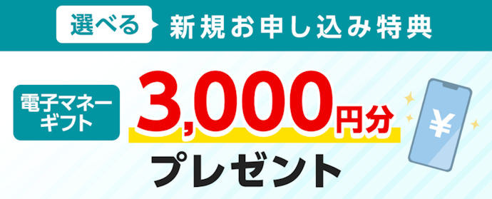 新規申し込みで電子マネーギフト3,000円分プレゼント