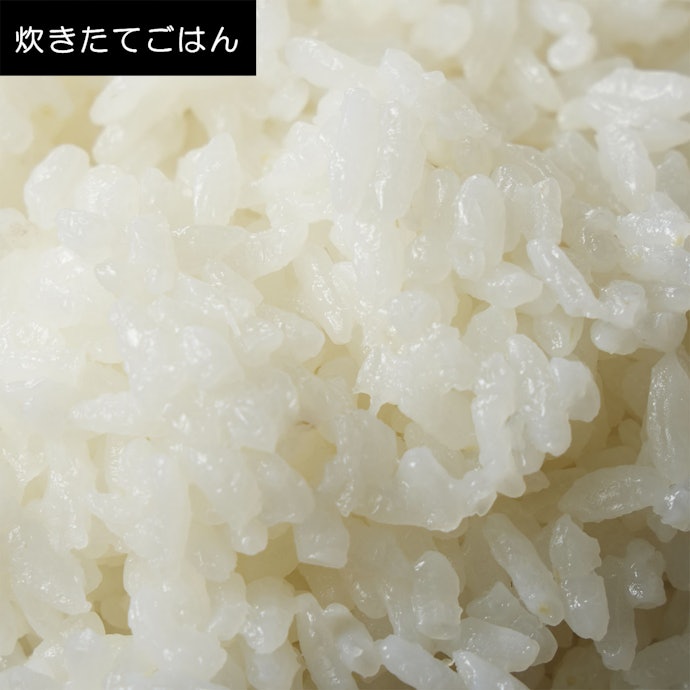 甘さは控えめだが、味わいはおいしい。ほどよく粒感があって食感もよい