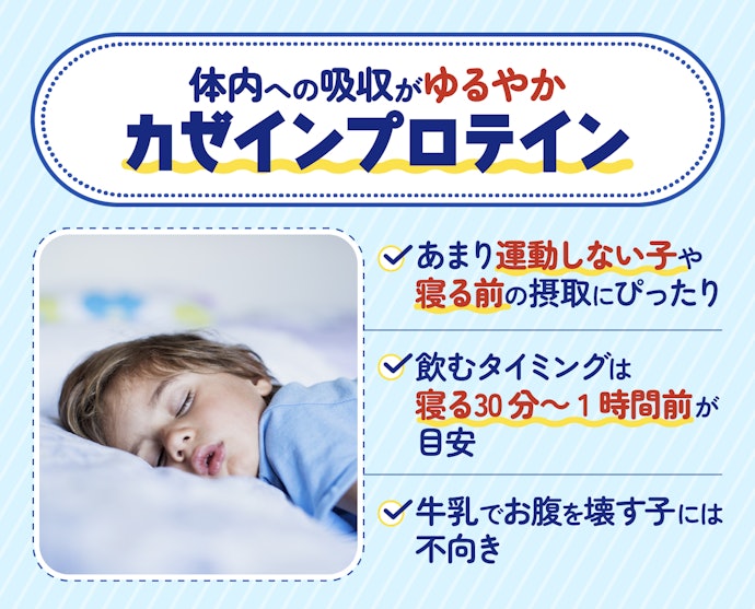 運動習慣がない子・就寝前に飲む子なら、カゼインプロテイン