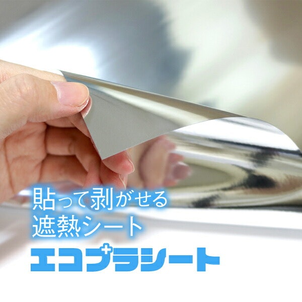外からの目隠しにも使いたいなら、ミラー・すりガラスタイプを