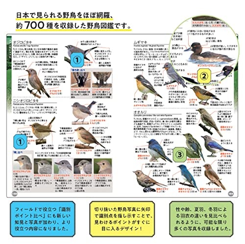 いろいろな鳥を知りたい人には、日本の野鳥全般を集めた図鑑がおすすめ