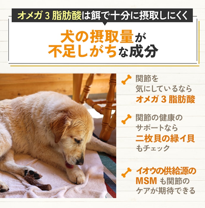 関節が気になるならオメガ3脂肪酸・緑イ貝がぴったり