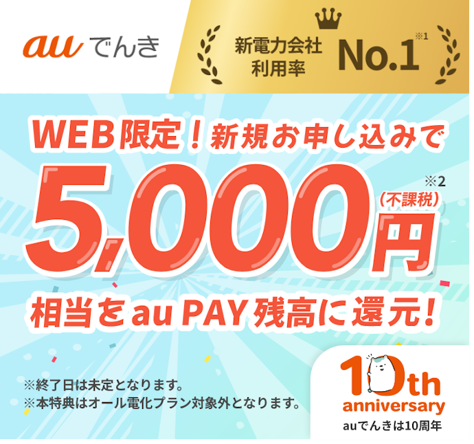 【Web限定】新規申し込みでau PAY残高5,000円相当分プレゼント