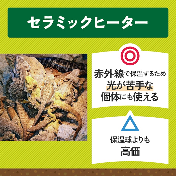 夜行性の爬虫類には、光を発さないセラミックヒーターがぴったり