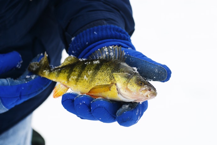 重いルアーを使うときや寒い季節の釣りには、フルフィンガーでしっかりカバーを