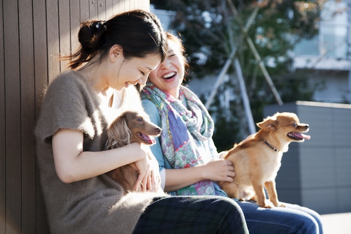 ペット可の宿であれば、愛犬と一緒に旅行ができる