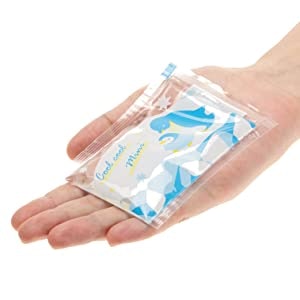 お弁当をしっかり冷やしたければ30~100gがおすすめ