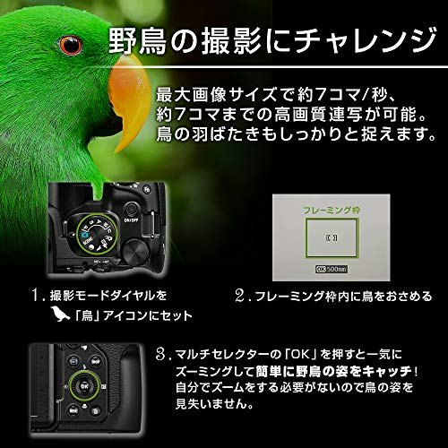 被写体が速く動くスポーツ大会や野鳥観察では、高速AFや連写機能付きがおすすめ