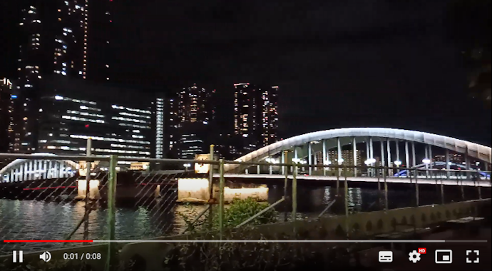 明るすぎて、動画が全体的に白飛びしていた。暗い部分がうまく描写できていない