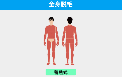 ①全身脱毛