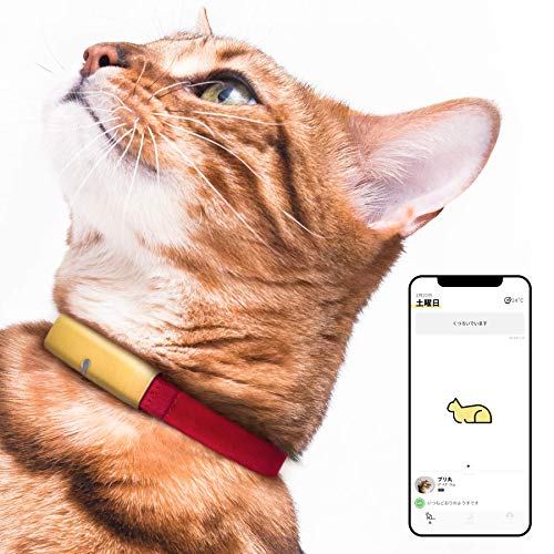 猫 gps 販売 首輪 iphone