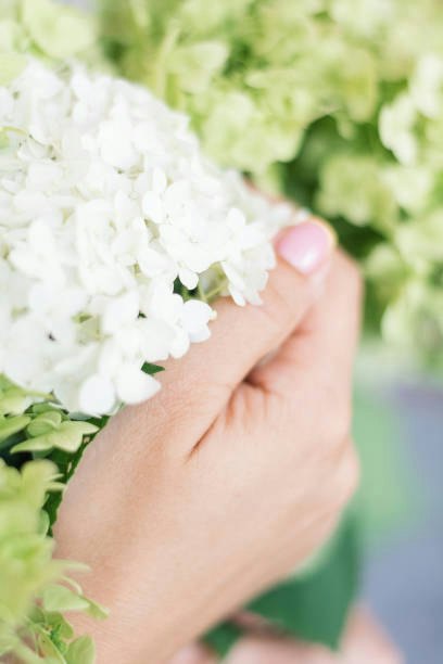 プケッティ:さりげなく花モチーフを身につけたい人におすすめ