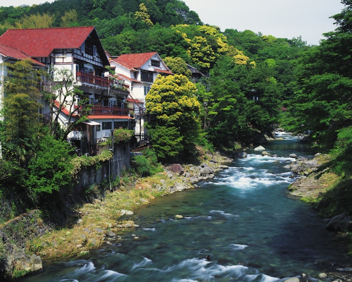 緑が好きな人には、森林の近くにあるホテルがぴったり
