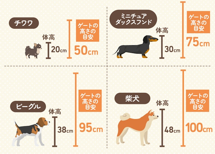 ゲートも高く、小型犬なら飛び越える心配はなさそう