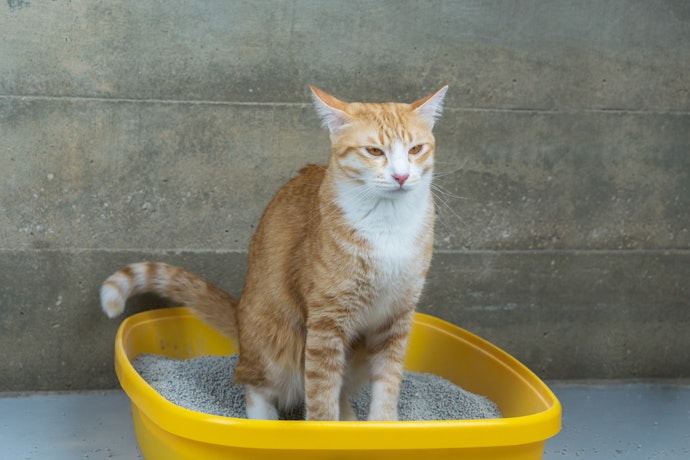 オープンタイプ・出入口が上にあるタイプは、猫砂を受け止めやすい大型マットを