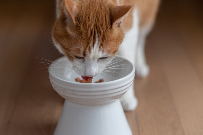 ヒゲが食器にあたるかどうかは、さほど心配しなくてOK