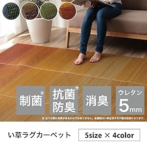 ペット・赤ちゃんがいる環境や寝転がる人には、抗菌・防臭加工がぴったり