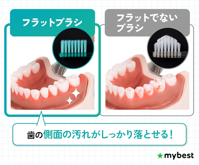 平面の清掃効率を重視するなら、フラットタイプやラウンド毛を選ぼう