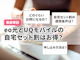 eo光とUQモバイルの自宅セット割はお得?申し込み方法や注意点を解説
