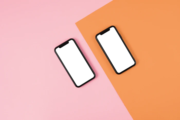 他社から楽天ひかりへ乗り換えるには?手順や注意点を解説